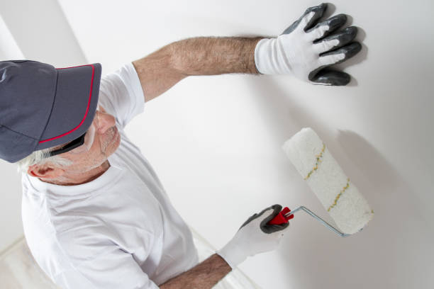 Biohazard Mold Removal in Swannanoa, NC