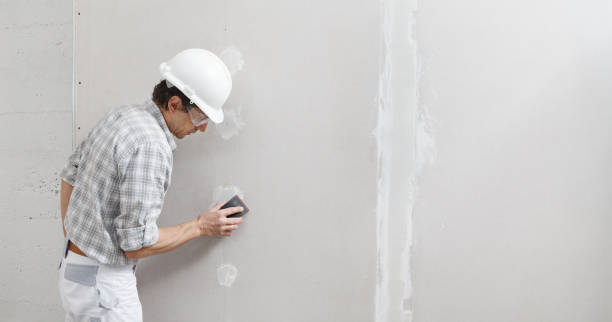 Best Mold Odor Removal Services  in Swannanoa, NC