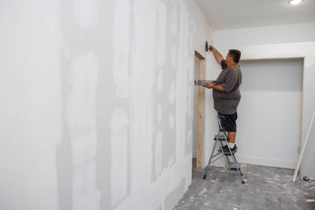 Best Real Estate Mold Inspection  in Swannanoa, NC