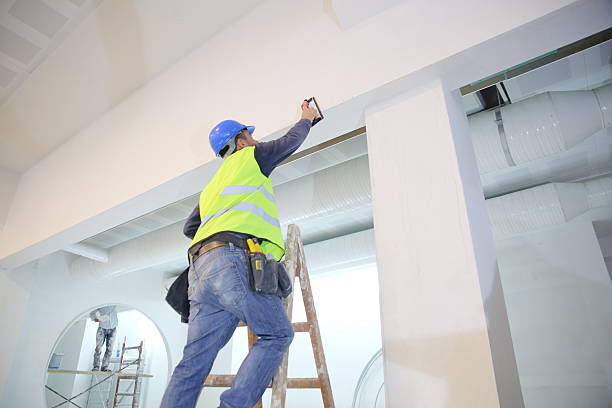 Mold Documentation for Insurance Claims in Swannanoa, NC